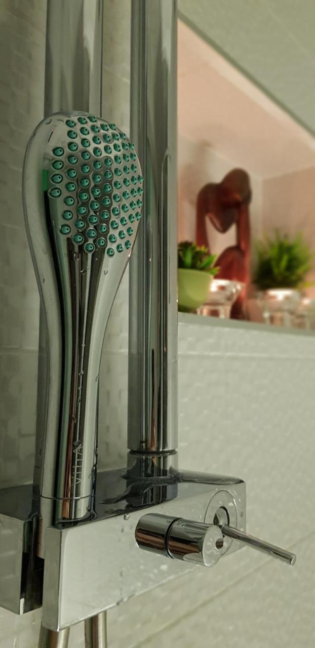 Apartment Plaza ----Wallbox 11Kw 16A ----- Private Spa- Jacuzzi, Infrared Sauna, Luxury Massage Chair, Parking, Entry With Pin 0 - 24H, Free Cancellation 24 Hours Before Check In Bród Kültér fotó